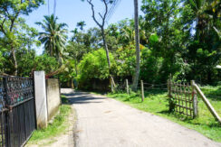DSC03741