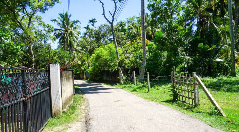 DSC03741