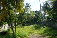 DSC04949