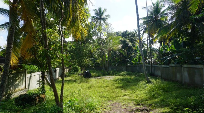 DSC04949