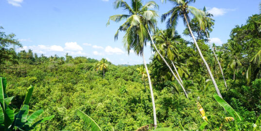 Habaraduwa West facing vacant land