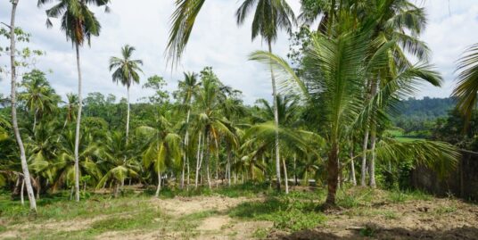 Yatagale paddy view land for sale