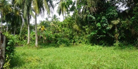 Vacant Land in Unawatuna