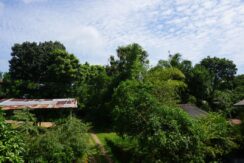 DSC04330