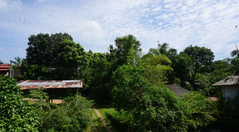DSC04330