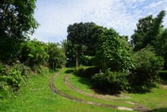 DSC04337