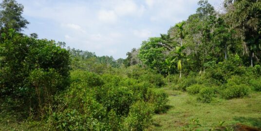 Three Acre plantation land