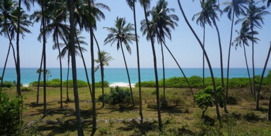 Rakawa beach front land for sale