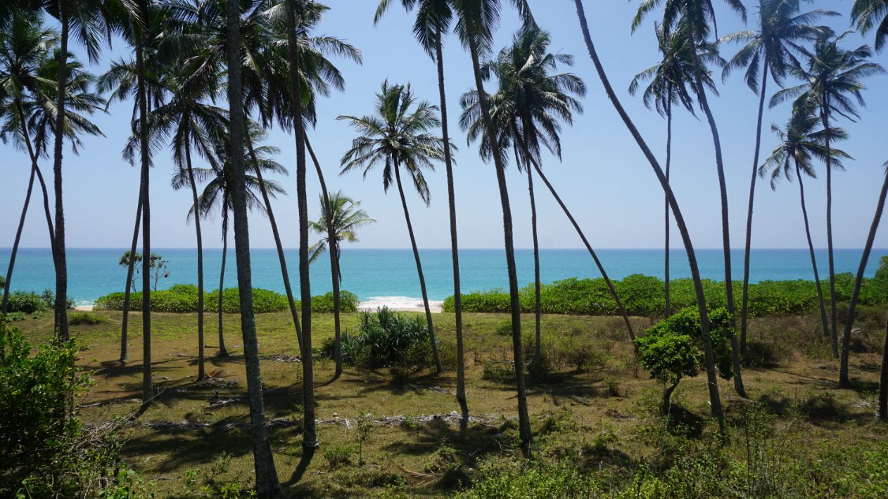 Rakawa beach front land for sale