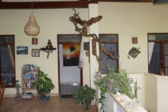 DSC07715