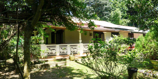 Ahangama 4 Bed, Large Garden for Sale