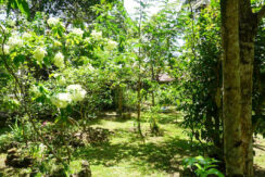DSC02867