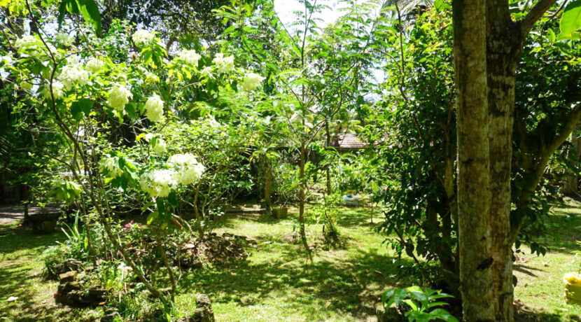 DSC02867