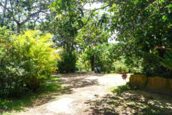 DSC02873