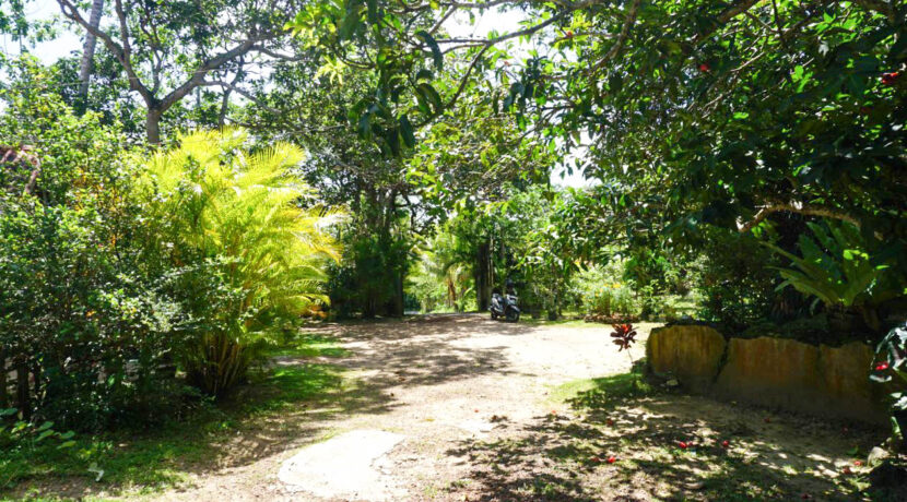 DSC02873