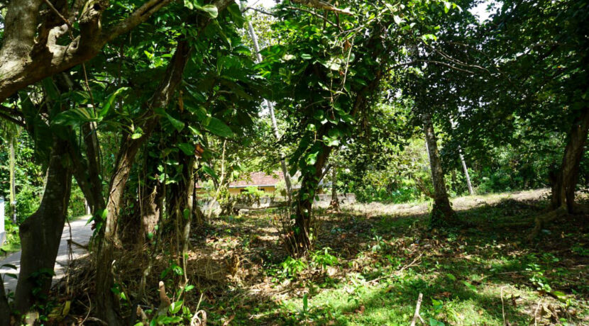 DSC06660