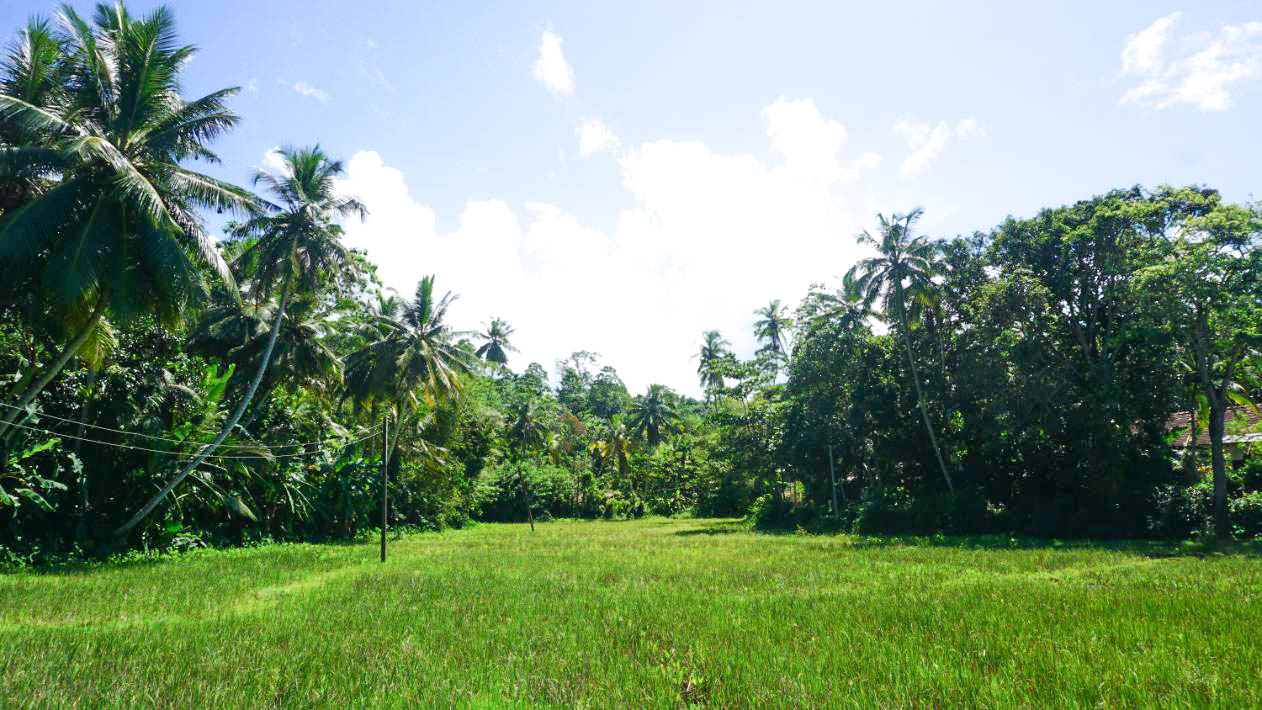 Land with Paddy Views for Sale