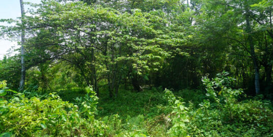 Land for Sale in Midigama