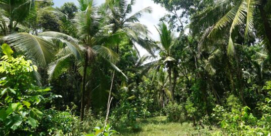 Midigama Vacant Land For Sale