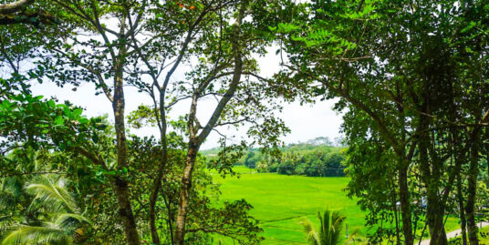 Ahangama Elevated Land With Paddy Views