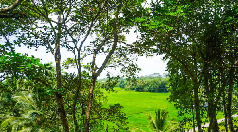 Ahangama Elevated Land With Paddy Views