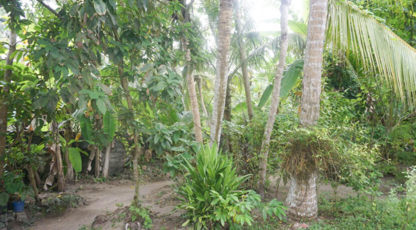 DSC00120