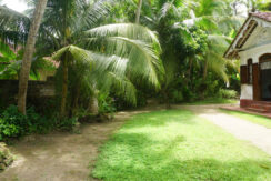 DSC00126