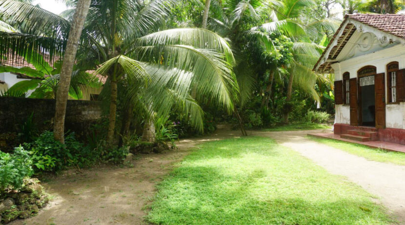 DSC00126