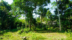 Vacant Land For Sale by Lanka Island Properties