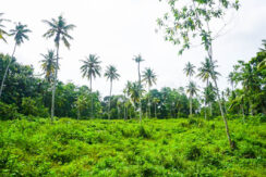 Ahangama Flat Land For Sale