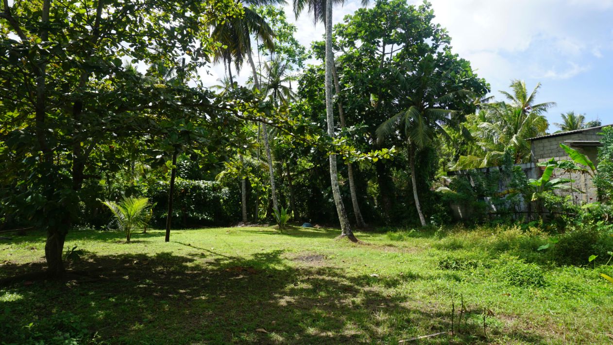 Ahangama Land For Sale by Lanka Island Properties