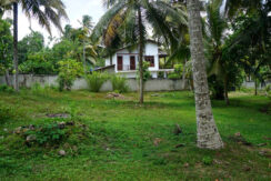 DSC00903