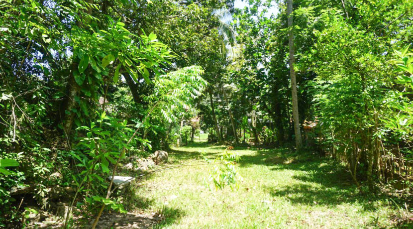 DSC09724