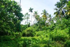 LIP-285 Land for Sale – Ahangama