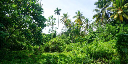 Land for Sale – Ahangama