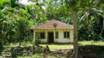 Old house with Paddy Views for sale in Ahangama