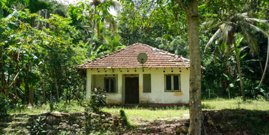 Old house with Paddy Views for sale in Ahangama