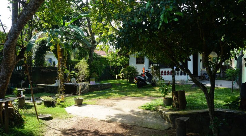 DSC01296