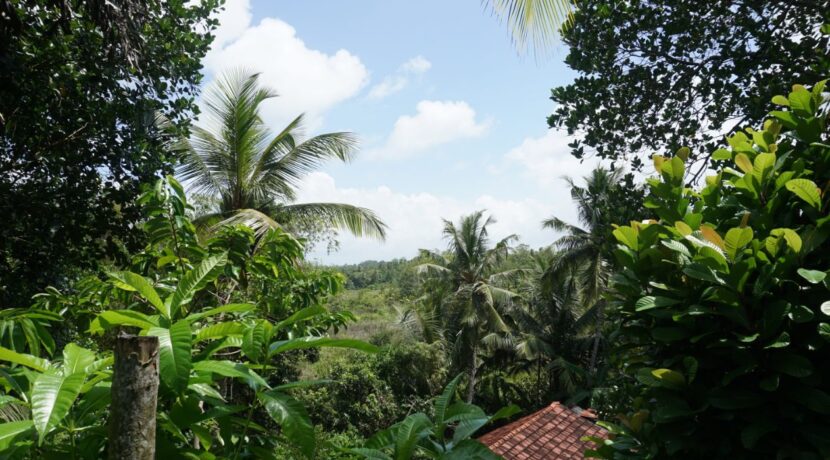 DSC01133