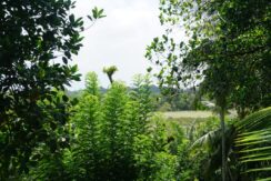 DSC01135