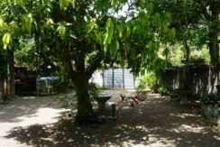 DSC01139