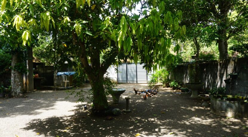 DSC01139