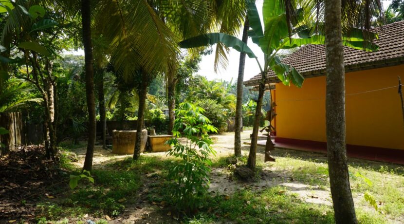 DSC02358