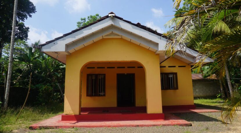 DSC02370