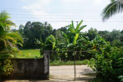 DSC02376