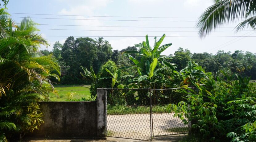 DSC02376