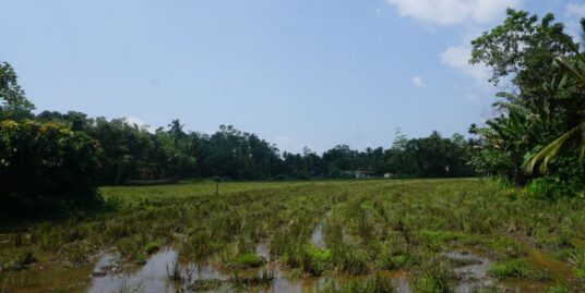 Vacant land with paddy views Welhengoda