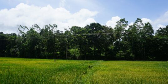 Ahangama, land, house and Paddy Views