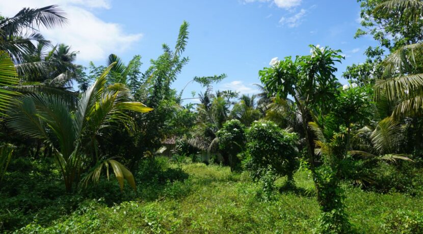 DSC01769
