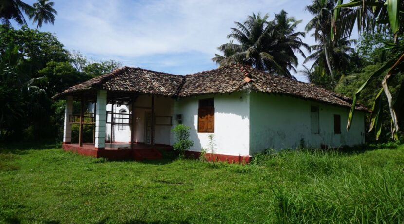 DSC02034